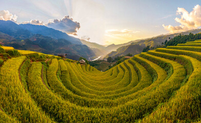 Terrace rice field in Vietnam
