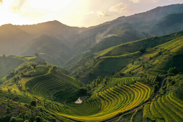 Terrace rice field in Vietnam