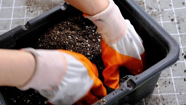 Hands in gloves mix ingredients for the soil of home potted plants, peat, earth, sand, perlite, vermiculite, coconut. A mixture for planting plants in a pot. Layout