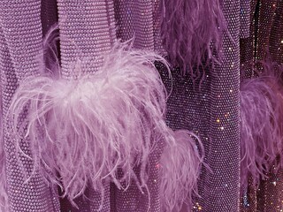 Shiny evening dress gown with feathers and sequins.