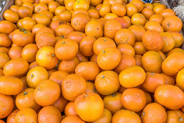 Pile of clementines for sale at a market