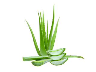clump of green aloe vera plant isolated, png