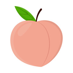 Whole ripe peach vector illustration. Cartoon drawing of healthy food or orange fruit isolated on white background. Organic food, healthy eating concept