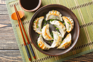 Original Japanese dumplings Gyoza with vegetables closeup on the plate on the table. Horizontal top...