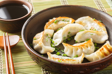 Original Japanese dumplings Gyoza with vegetables closeup on the plate on the table. Horizontal