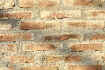 Timeless Charm: Rustic Brick Wall