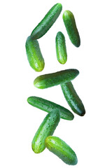 Falling fresh cucumbers isolated on transparent background.