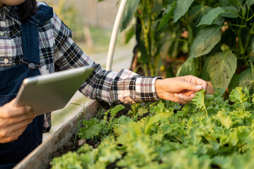 Flower care harvesting. Happy gardener woman in gloves plants flowers in greenhouse using tablet check growth quality of Plant. Florists woman working gardening in the backyard.
