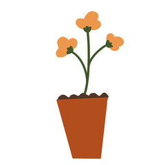 The flowers are in cute pots.