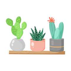 Potted succulent plants vector illustration. Pastel colored succulents and cacti in pots standing on shelf on white background. Potted Plant, succulent, interior concept