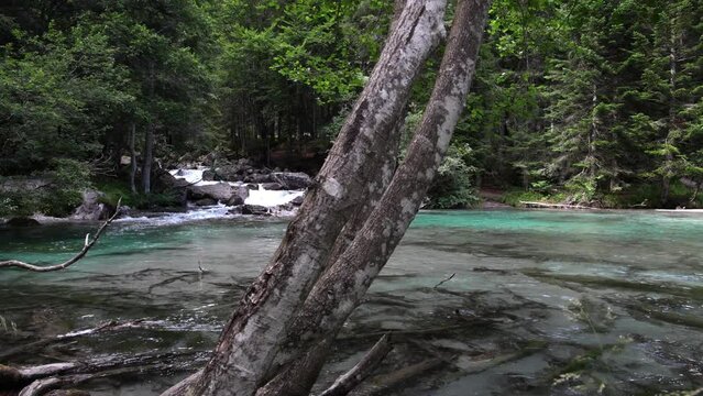 The wonders of the lakes of amola, turquoise waters, unique flora and fauna