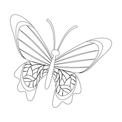 Doodle of flying butterfly with beautiful wings. Black outline of insect or bug isolated on white background. Nature, spring, decoration, beauty concept