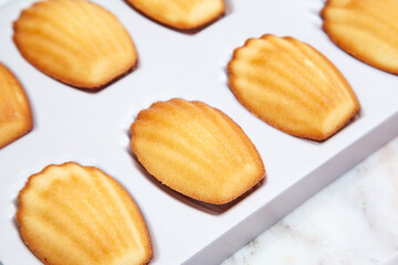 Classic French Madeleines, mini sponge cake baked in scallop mold