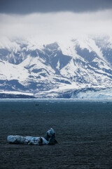 Cruise to Hubbard Glacier Bay in Alaska with floating ice bergs and drift ice floes on ocean water...