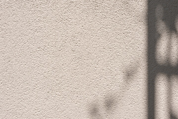 Abstract floral sunlight shadow on neutral beige empty concrete wall texture background, aesthetic...
