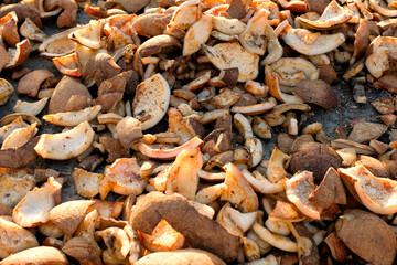 Dried copra from selected coconuts is used to extract coconut oil