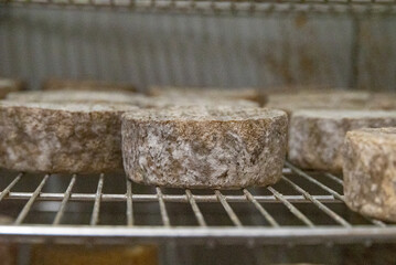 The Gourmet Artisanal Cheese Journey