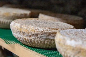 The Gourmet Artisanal Cheese Journey