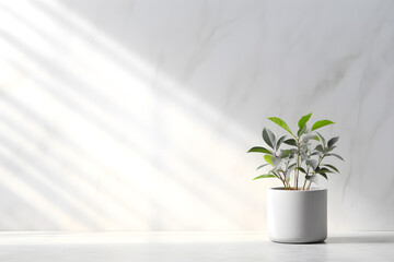 White wall room for display of presentation product with windows showing sunlight, vase and pot with a plant in the style of minimalist background, modern interior concept, AI generate