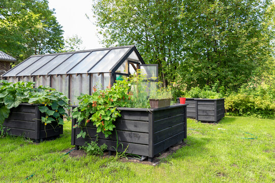 Greenhouse with raised garden beds in backyard on a sunny day.
