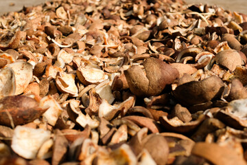 Dried copra from selected coconuts is used to extract coconut oil