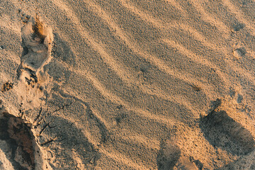 sand dunes in the desert