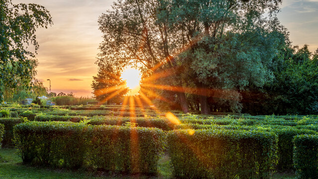 Hedge maze. The setting sun behind the trees. Beautiful park. Cegielnia Park, Zory.