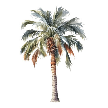 palm watercolor illustration, generative AI