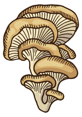 Oyster mushroom icon. Raw fungus color sketch