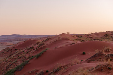 low-angle view of the top of the gorgeous Elim Dune near Sesriem in Namibia