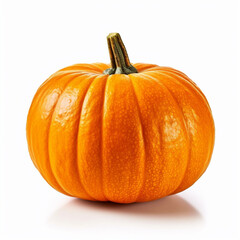  Pumpkin Isolated On White Background.