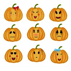 Pumpkin The image has a white background for illustration and decoration.