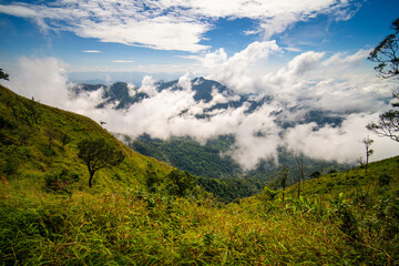 Obraz premium Mountain peak and sunrise covered by the sea of cloud in northern of thailand (Nan province, Thailand) เด่นช้างนอน
