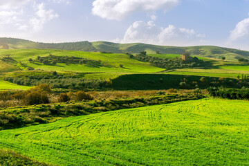 Obraz premium green landscape of spring field with green young grass and amazing hills on background