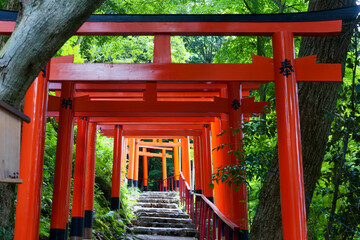 Fototapeta na wymiar Kyoto in Japan