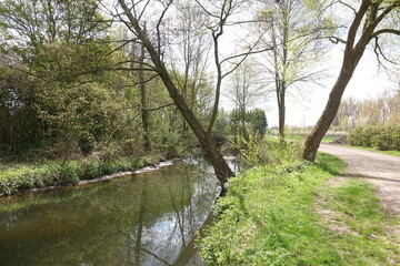 Gersprenz bei Muenster