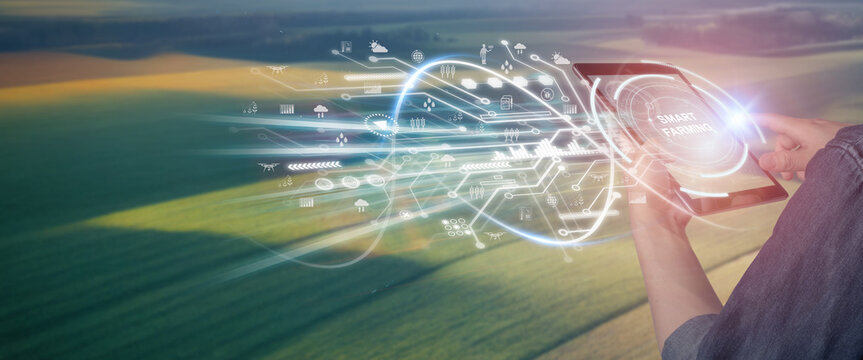 Smart farming ,agriculture concept, farmer use data augmented mixed virtual reality integrate artificial intelligence combine deep, machine learning, digital twin, 5G, industry 4.0 technology.