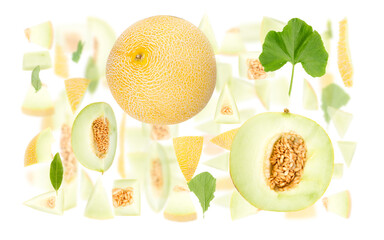 Melon Slice and Leaf Abstract