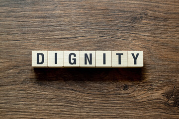 Dignity - word concept on cubes