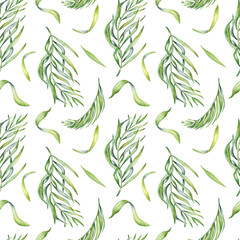 Palm leaves of acai tree watercolor seamless pattern isolated on white. Green brunch of tropical palm, exotic leaf hand drawn. Design element for wrapping, packaging, textile, background, paper
