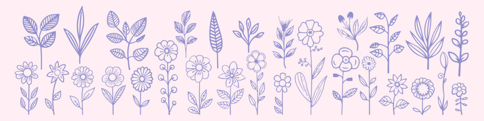 set collection of aesthetic flower