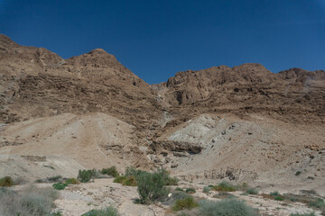 Desierto Israelí, Israel