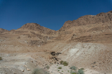 Desierto Israelí, Israel