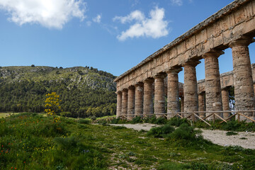 Fototapeta na wymiar View over the Greek Doric Temple, Segesta, Sicily, Italy, Europe 