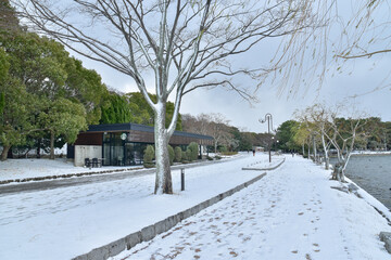 日本の冬の公園