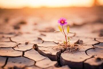 A dry and brown landscape in the desert during a summer drought, with wilted plants struggling to survive on the parched ground. - obrazy, fototapety, plakaty