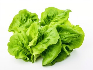 A green lettuce isolated