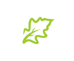Green leaf oak logo design. Oak leaf sign isolated on white background. Flat style vector design and illustration.


