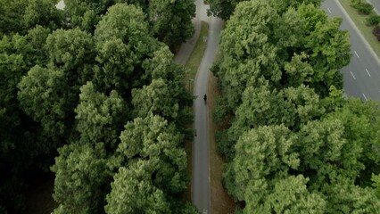 Aerial top down - Cyclist moving on a bike path between green trees. Cycling training in the city surrounded by greenery.