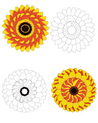 simple sunflower mandala with outline
